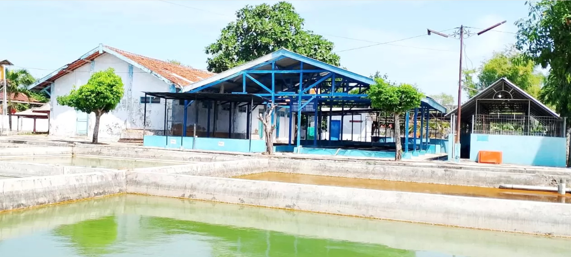 Balai Benih Ikan Dinas Perikanan Kabupaten Pamekasan